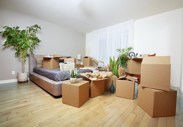 Dormitorio con cajas de cartón abiertas y plantas durante proceso de mudanza a nueva vivienda