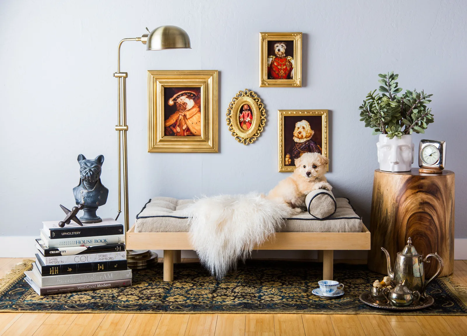 perro sobre un sofá rodeado de decoración de perros